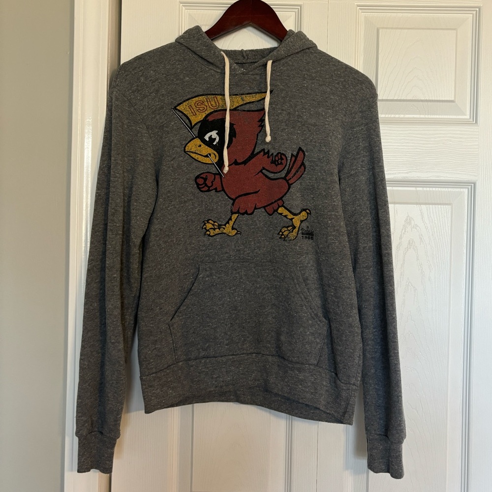 Graphite grey Iowa State Cyclones Hooded Sweatshirt